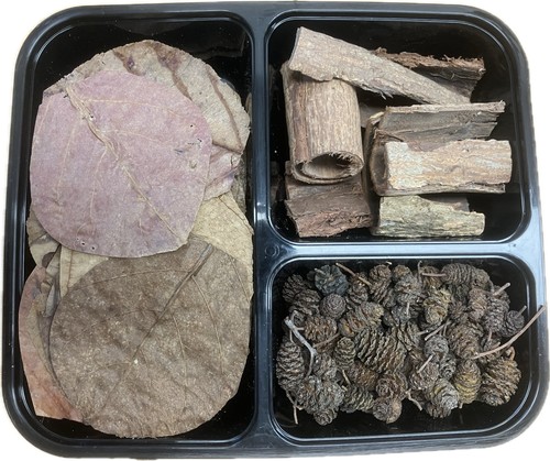 Set acquario con tannini per