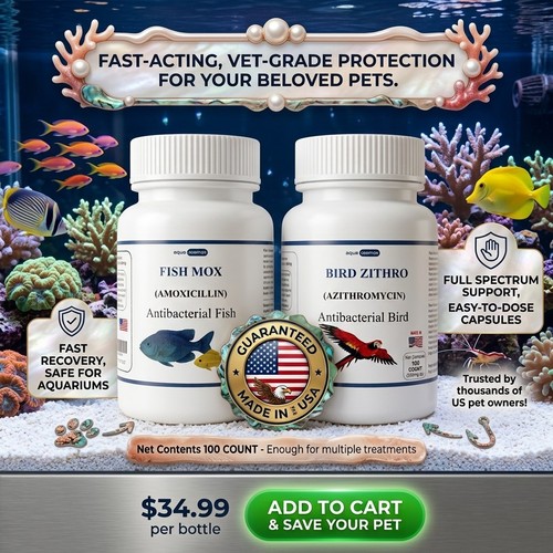 Aqua fish for aquarium use - for,
