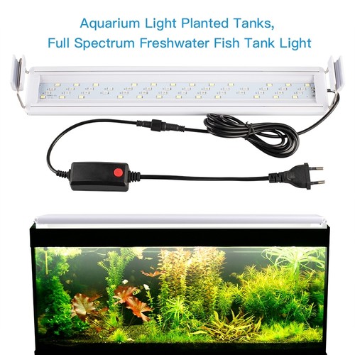 Luce led rgb 10w 52x - 52x,