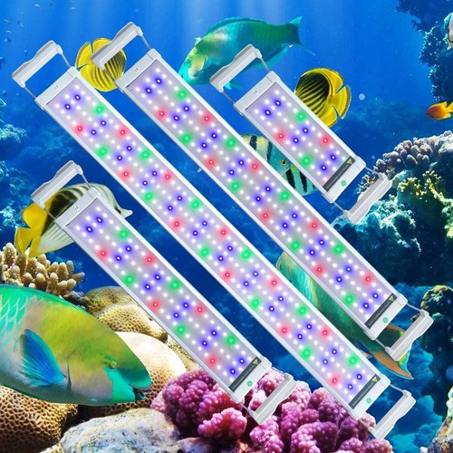 Illuminazione acquario led rgb - illuminazione,
