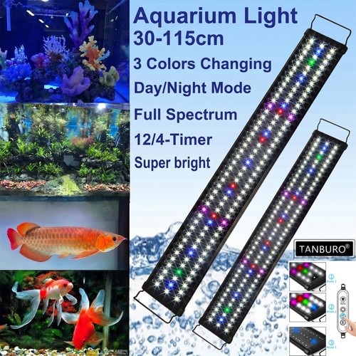 Lampada illuminazione acquario