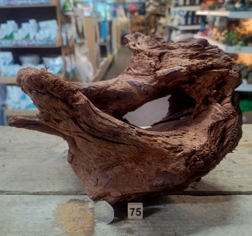 Legno palude naturale - di,