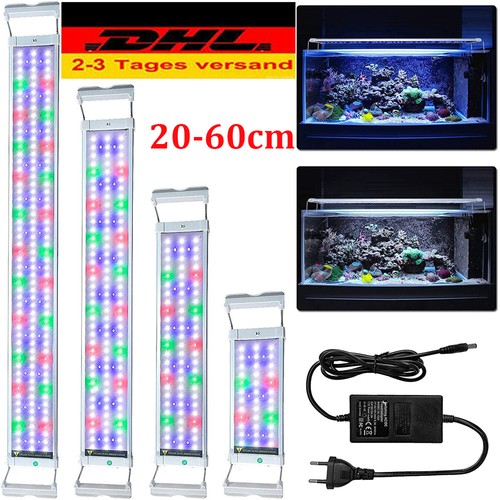 Illuminazione acquario led - acquario,