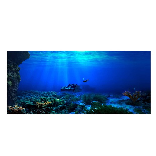 Felfeel acquario sfondo - sfondo, pvc