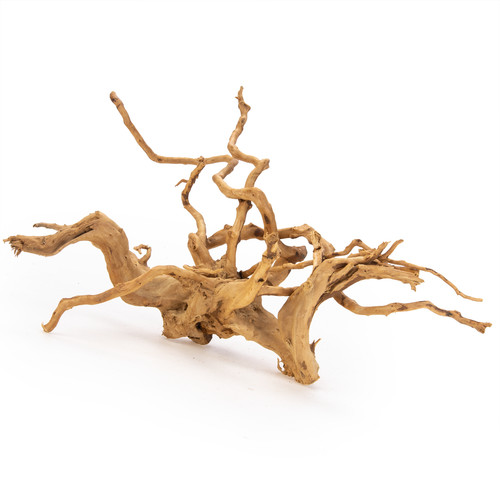 Acquario driftwood legno - acquario,