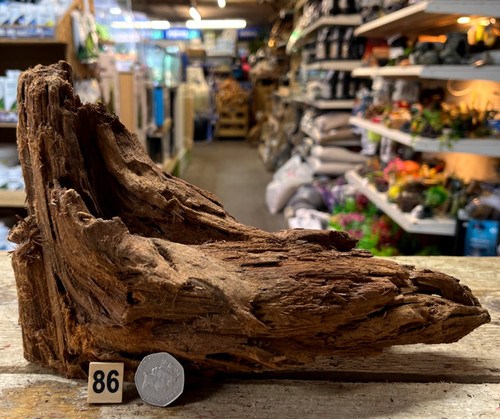 Legno palude naturale medio - di,