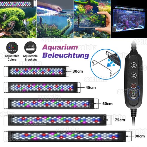 Acquario led rgb 115 con - led,