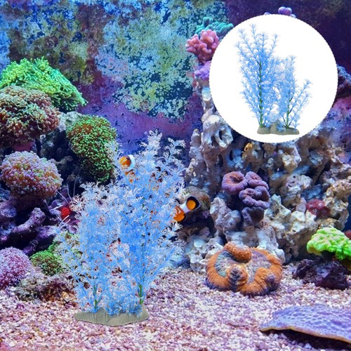 Paesaggio creativa acquarium