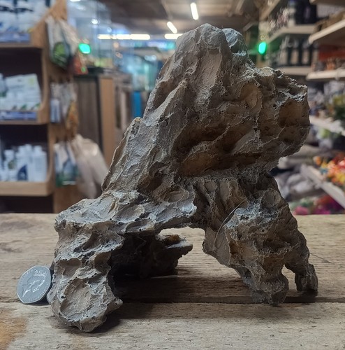 Ornamento pietra drago