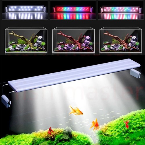 Lampada luce acquario piccola - lampada,