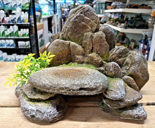 Ornamento acquario grigio