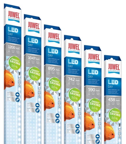 Juwel lampadine led giorno - giorno, per