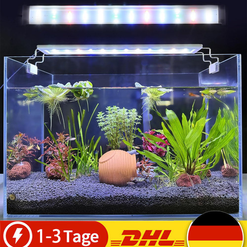 W rgb led - rgb,