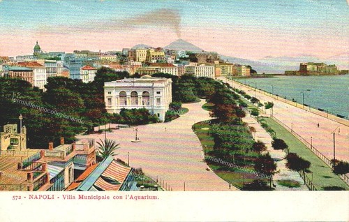 Dl873 cartolina napoli - , citta'