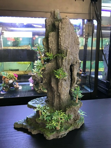Grande acquario - acquario,