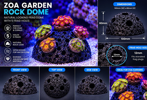 Zoa frag cupola roccia - zoa, di