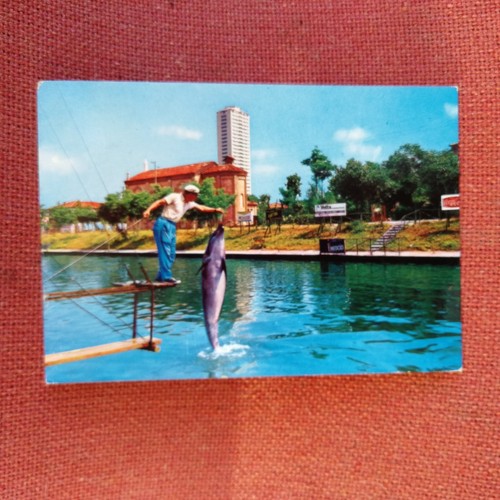 Cartolina-cesenatico-acquarium