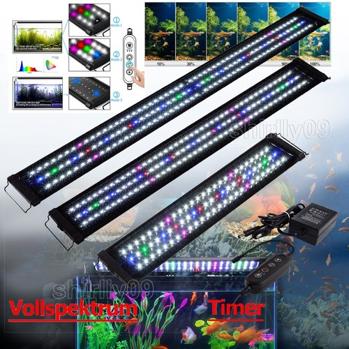 Illuminazione acquario rgb - acquario,