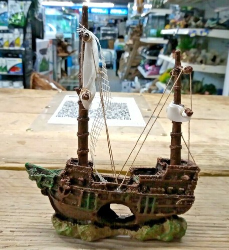 Nave pirata affondata con vele