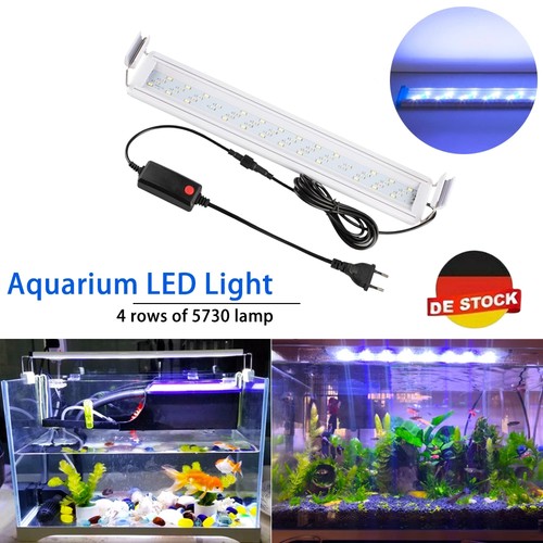Illuminazione acquario led rgb - acquario,