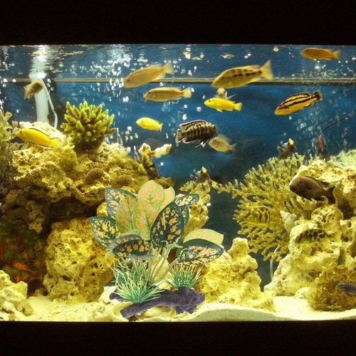 Piante acquatiche artificiali