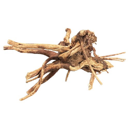 Acquario legno ragno - in,
