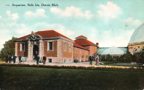 Acquario belle isle - belle,