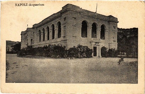 Cpa napoli acquarium - napoli,