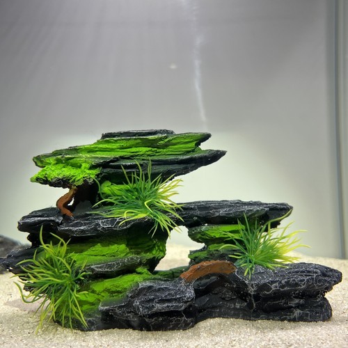 Acquario pesciera ornamento - pesciera,