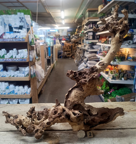 Gnarly scapers legno acquario - gnarly,