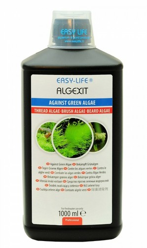 1000 easy life algexit - algexit, top