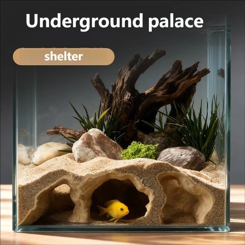 Acquario sotterraneo grotta - acquario,