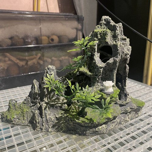 Acquario pesciera ornamento - pesciera,