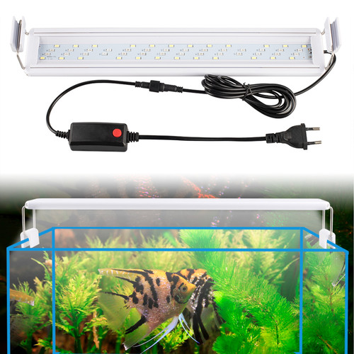Illuminazione led per - led, acquario