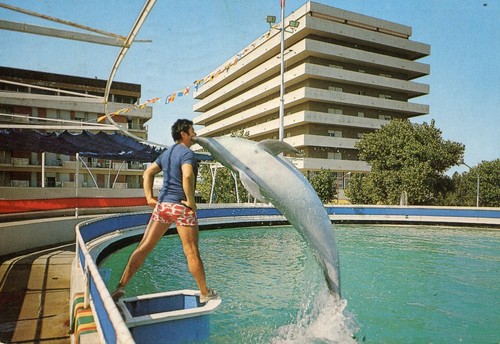CATTOLICA-Acquarium-1984