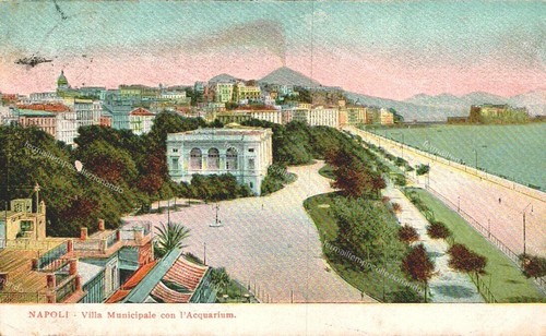 Du745 cartolina napoli citta - napoli, citta'