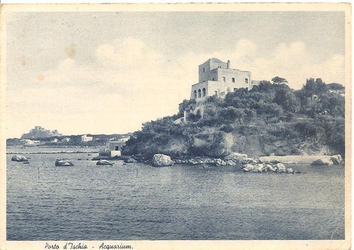 Porto ischia acquarium - ,